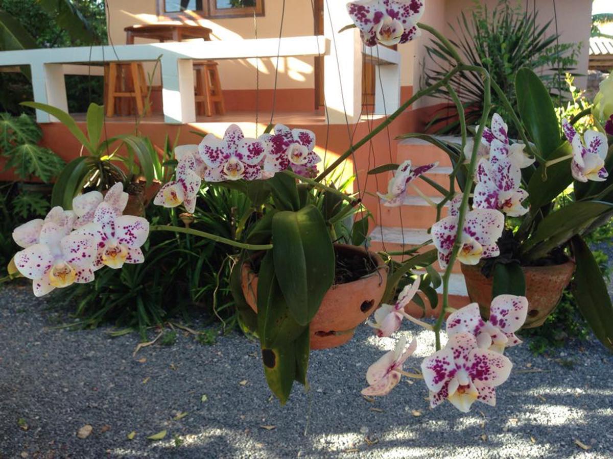 Chuanchom Resort Пхаттхалунг Экстерьер фото